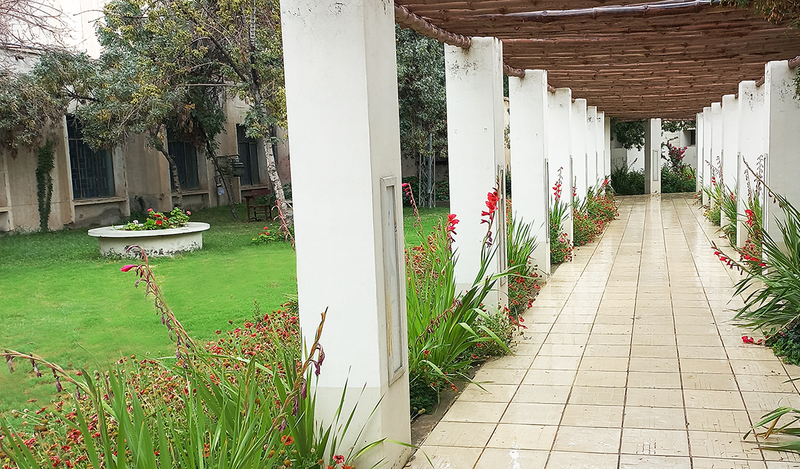 Department camera222